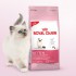 royal canin kitten