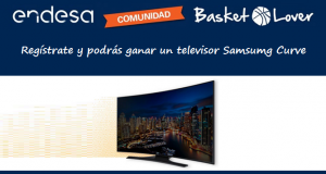 endesa basket lover